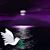 Sandra Warford's profile image
