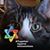 Mary Neis's profile image