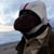 Kevin Gofrey's profile image