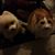 Simba Thor's profile image