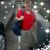 Sandy Williams's profile image