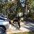 Sharon Juanita Stephens's profile image