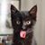 Anne Lorigan's profile image