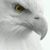 Beth Randleman's profile image