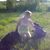 Sandy Rieser's profile image