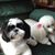 Sonia Carney's profile image