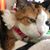 Amy R. Friel's profile image