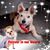 Keisha Gysin's profile image