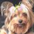 Crystal Prisk's profile image
