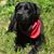 Millie Ahluwalia's profile image