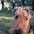 Bodhi Jennings-Shaw's profile image