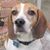 Julie Lawler Hamilton's profile image