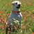 Phyllis Hall's profile image
