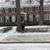 Jackie Dimig's profile image