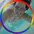 Jordan Goos's profile image