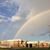 Patty Whealan Seely's profile image