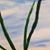 Rachel Townsend's profile image