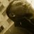 Rickey David Taylor III's profile image