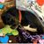 Robin Sisk's profile image