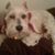 Dora Ann Castro Rodriguez's profile image