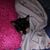 Christina Crawford Wilfong's profile image