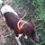 Patrick Schamp's profile image