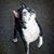 Marsha Olson Terry's profile image