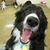 Leslie Udelhoven's profile image