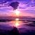 Donna Crownover Jackson's profile image