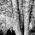 Bella Laine's profile image