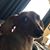 Philip Roehl's profile image