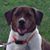 Andy Fox's profile image