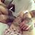 Jose Barbmart Joseantoniobarbm's profile image