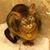 Elaine Stevens's profile image