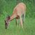 Joel Fenley's profile image