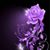 Karen Moyer's profile image