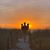 Shannan Suter Nienkemper's profile image