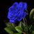 Martin Gra's profile image