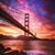 Aida Rosa Ruiz's profile image