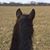 Eva Naglich Anderson's profile image