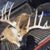 Corey Malm's profile image