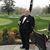 Dennis Ouellette's profile image