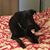 Jennifer Kirk Hungate's profile image