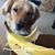 Nancy Burgess's profile image