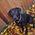 Lawnie Ostman's profile image