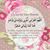 Amtul Ilyas's profile image