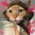 Pamela Sullivan Moss's profile image