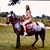 Cathy Wilson's profile image