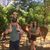 Jared D. Shipman's profile image