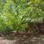 Gwynne Hooke's profile image